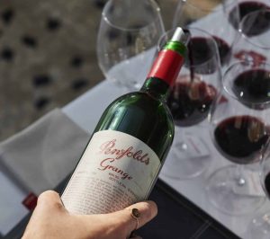 MartenAscenzo Penfolds PenfoldsMediaPreview D