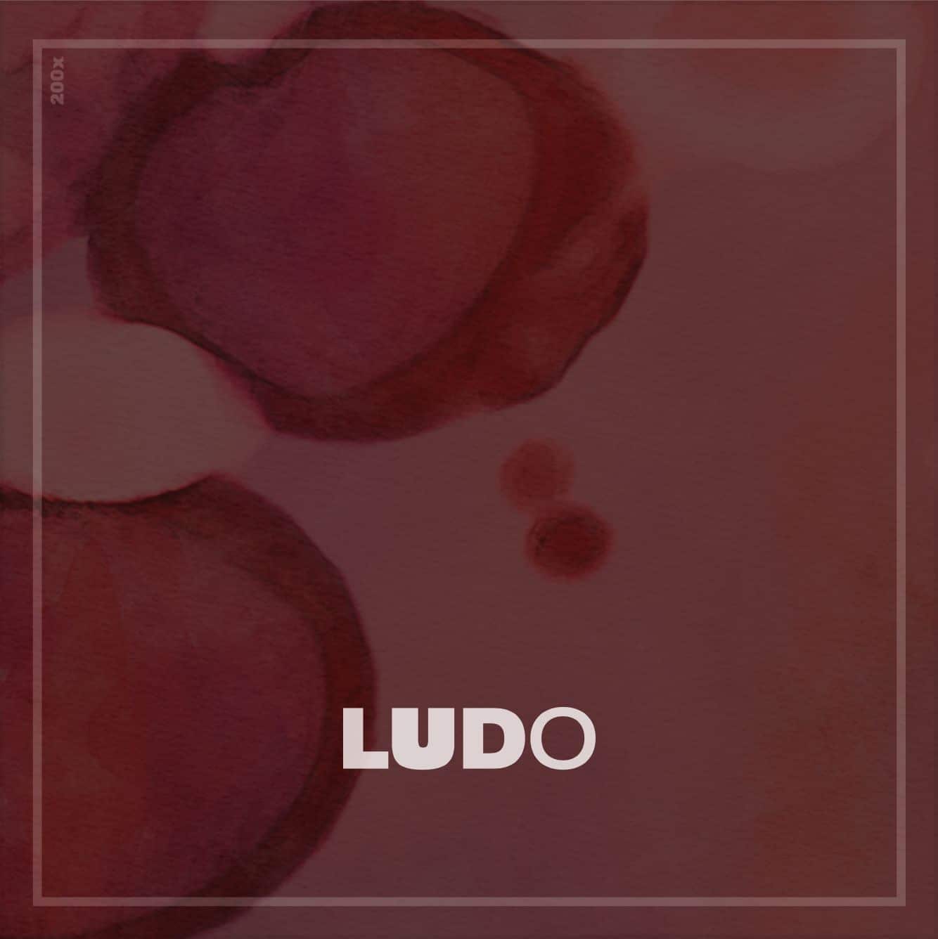 LUDO WVA