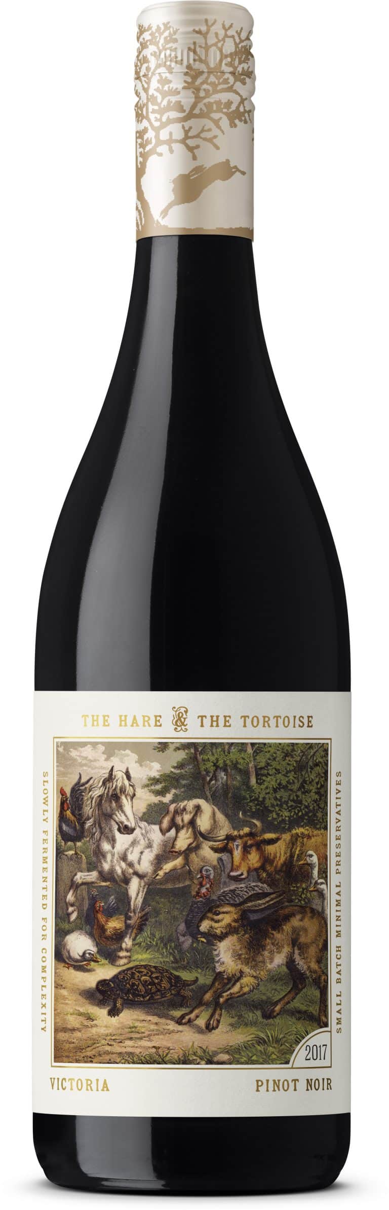 Hare & Tortoise Pinot