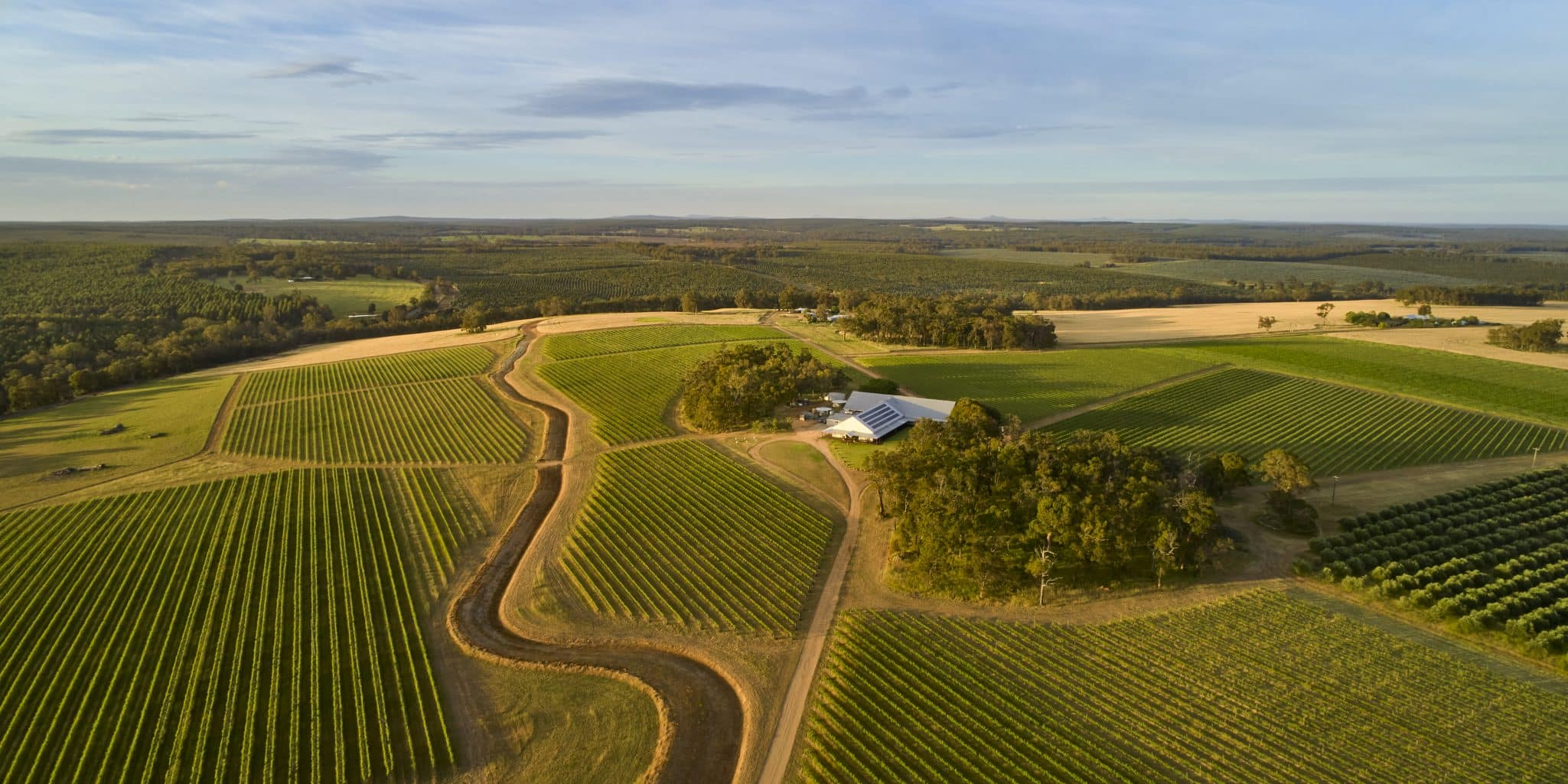 FRANKLAND ESTATE Winery Family Vineyard Estate scaled