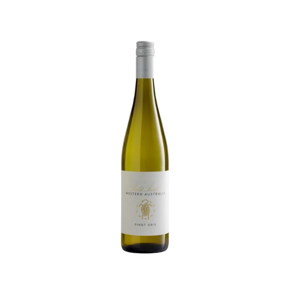 NV Gold Turtle Pinot Gris x