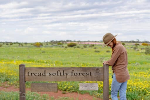 Tread Softly