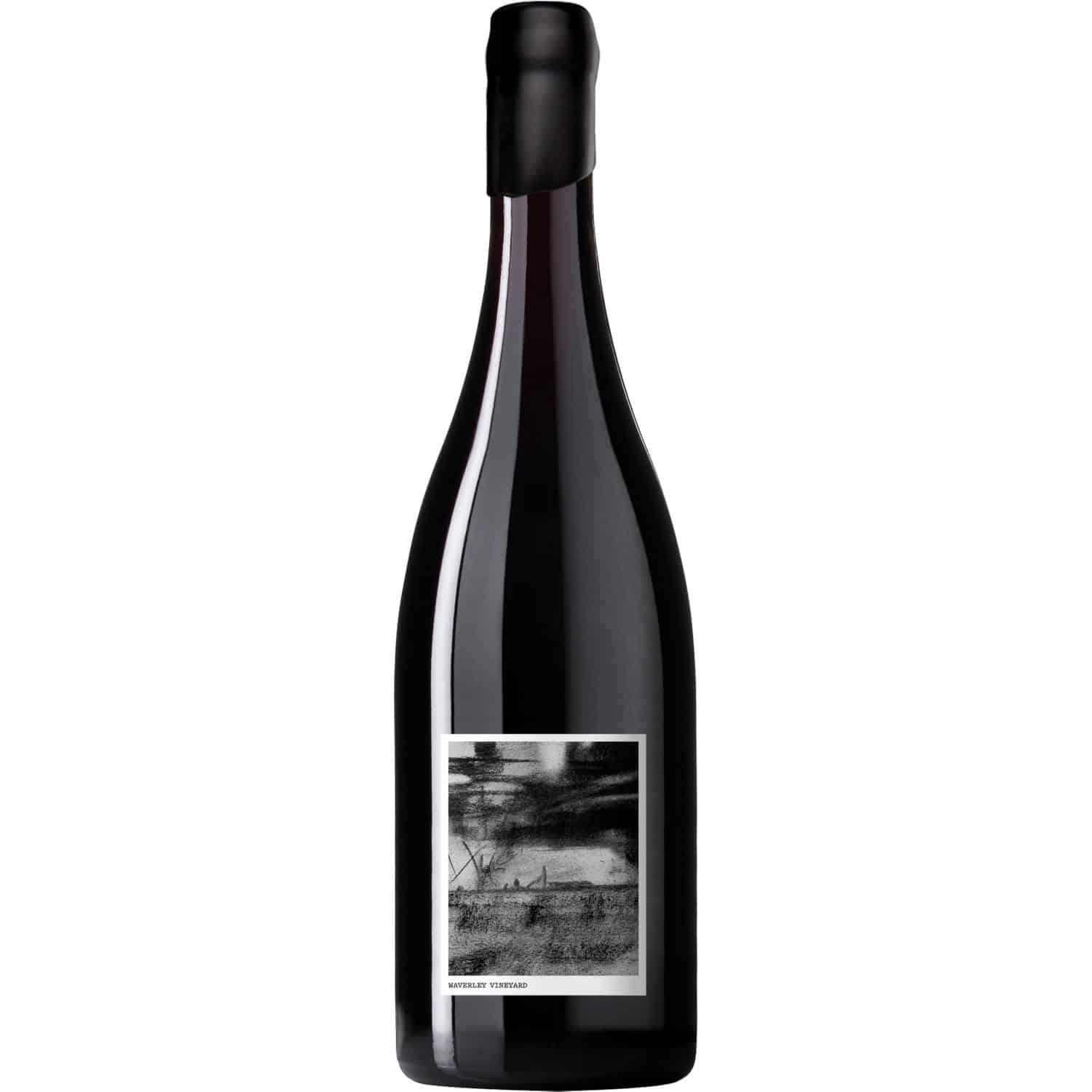 VinyeardSeries Pinot Waverley