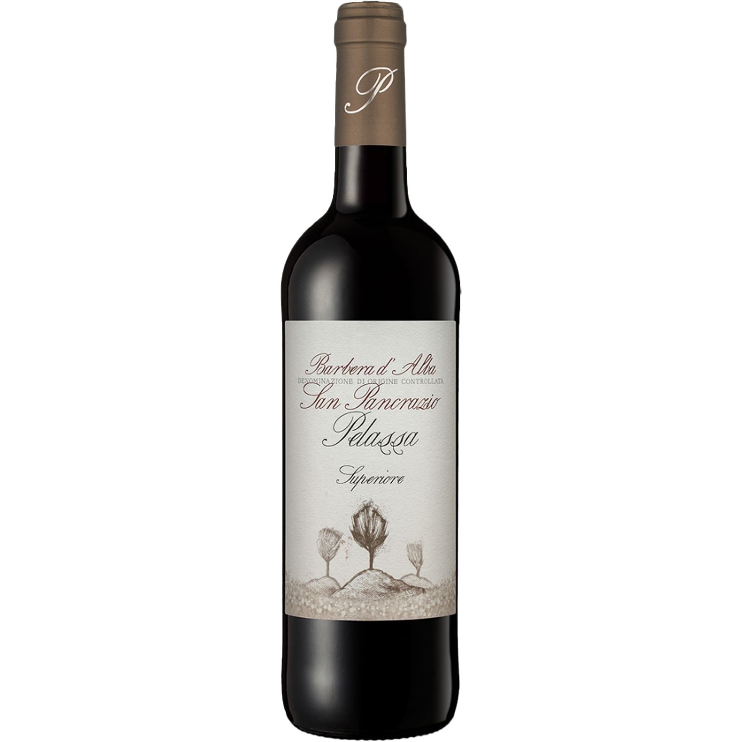 WT Pelassa San Pancrazio Barbera d'Alba Superiore DOC