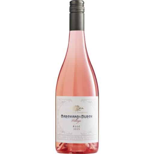 Marchand Burch Village Rose x