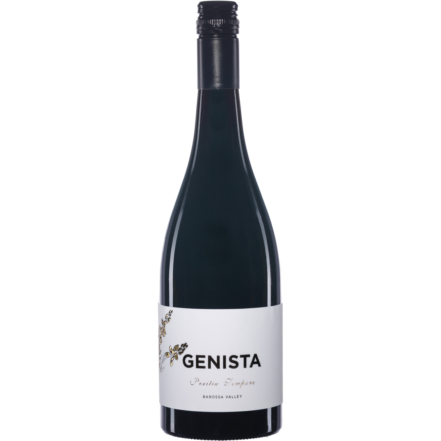 genista peritia tempore white hires ()