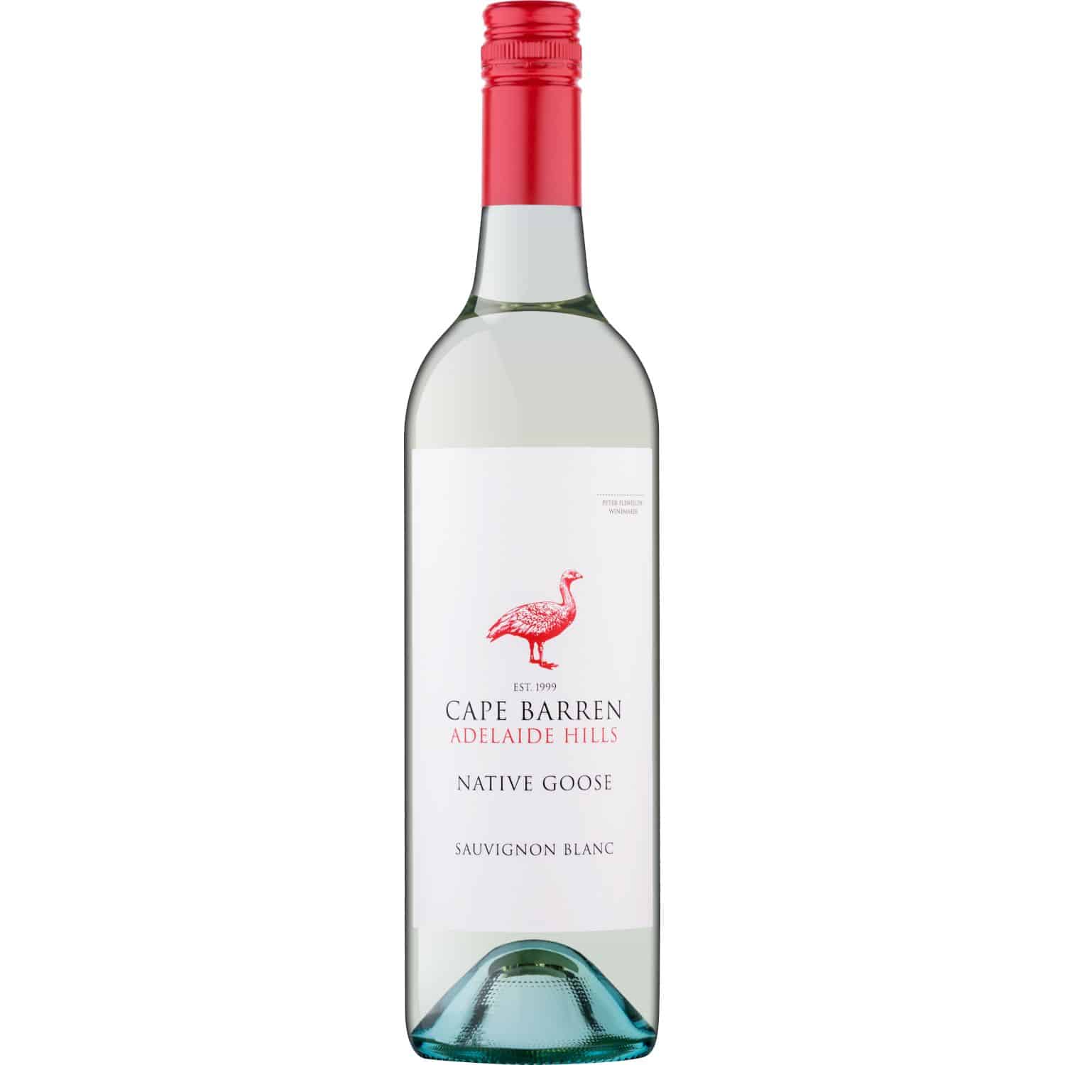 CapeBarren NativeGoose SavBlanc