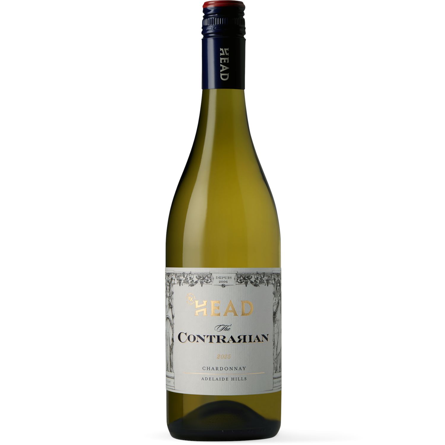 Head The Contrarian Chard XX