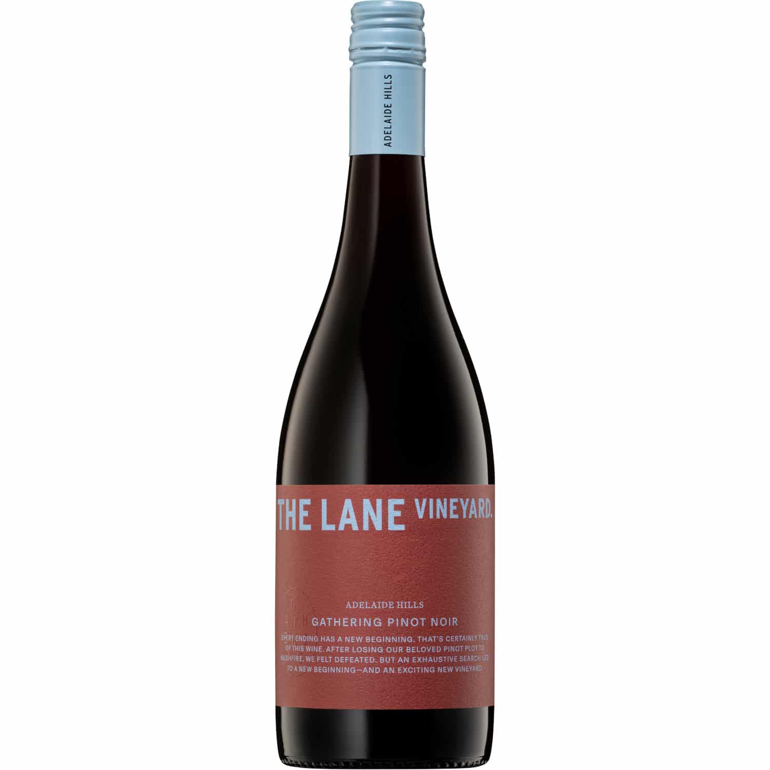 The Lane Gathering Pinot Noir No Vintage